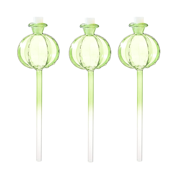 3 Pcs Blown Plant Watering Devices, Self Watering for Plants Cactus