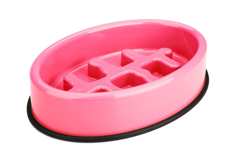 M-Pets Anti-Scoff Fishbone Dog Bowl - Green
