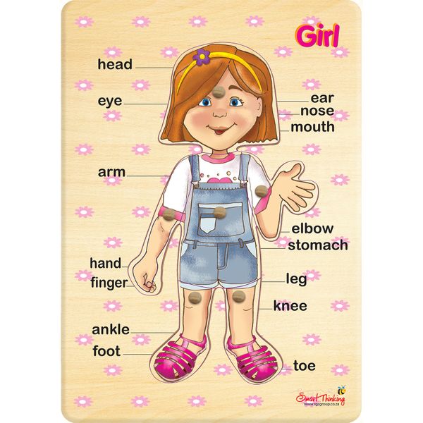RGS Group Body Parts Peg Puzzle- Girl