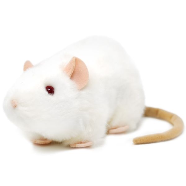Wylie the White Rat - Plush Toy
