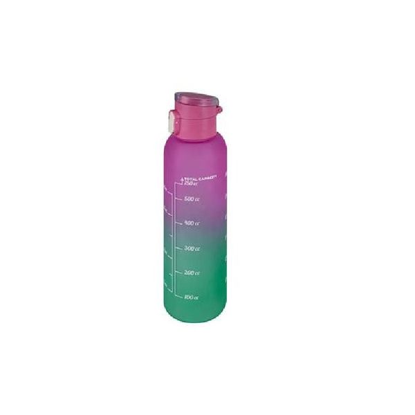 Purple and Green Stylish Shatter Resistant Water Bottle