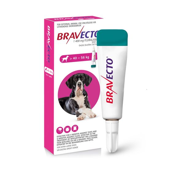 Bravecto Tick &amp; Flea Spot-On Dog Extra Large >40 - 56kg (Pink box)