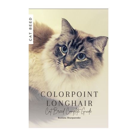 Colorpoint longhair best sale