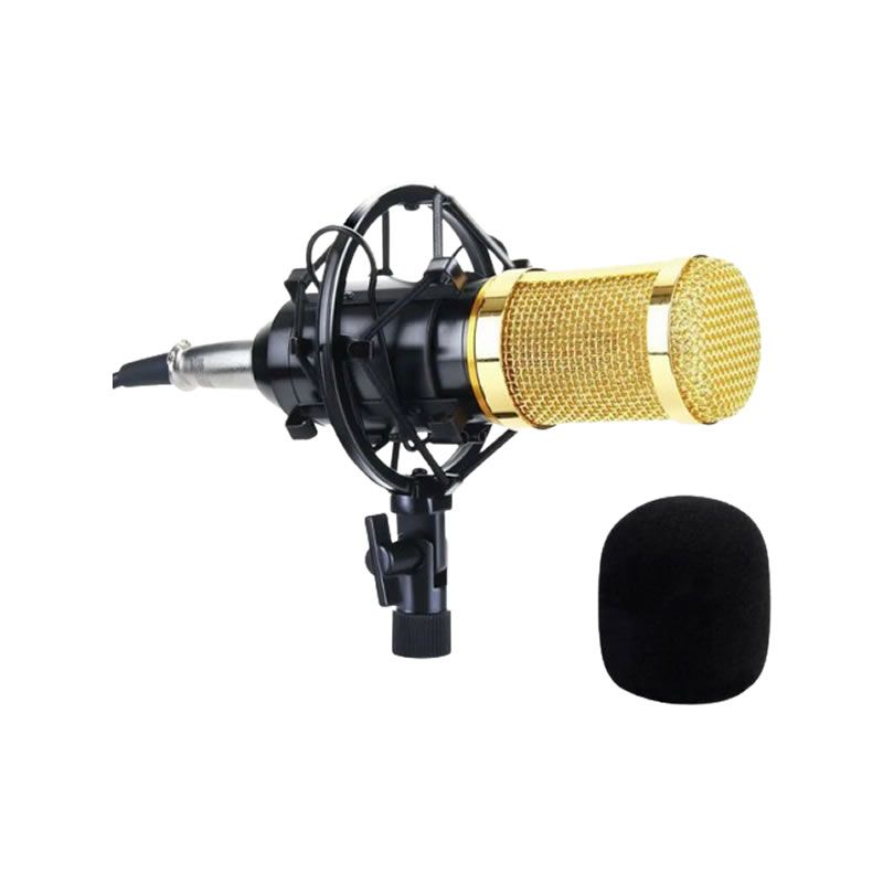 Professional Recording Condenser Microphone Shop Today Get It 