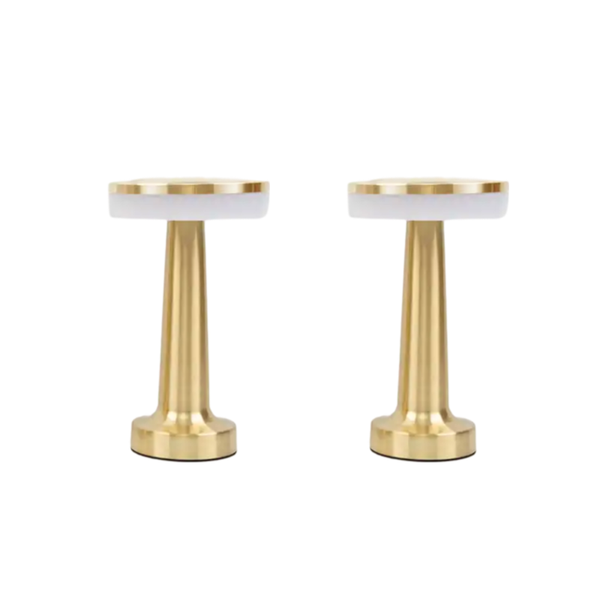 Set of 2 Portable USB Charging Touch Table Lamp E19-2-1