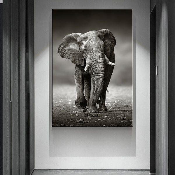 Walk Alone Elephant Safari Canvas Print Wall Art