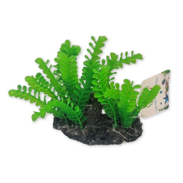 Plant Aquarium Deco