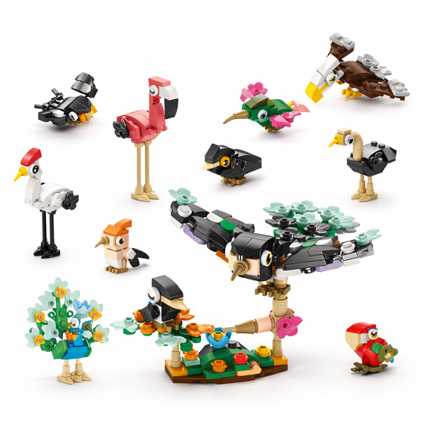 Bird Paradise Building Block Toys - Multicolour - 10 Pack