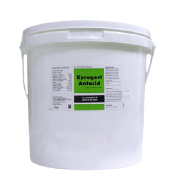 Kyron - Kyrogest Antiacid 320g 12's