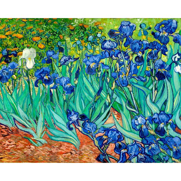 Artikon Paint By Numbers DIY 40cmx50cmx2cm - Irises Landscape Blue