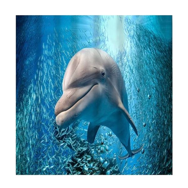 Digital Printed Fabric Shower Curtain - Dolphin