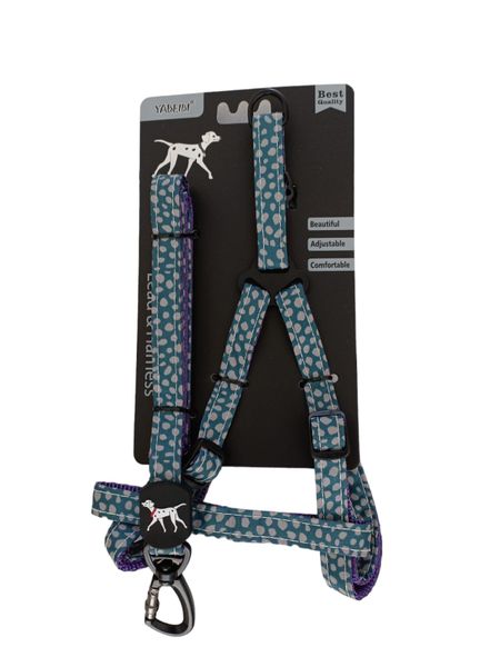 Extra Small Pet Leash and Harness Set