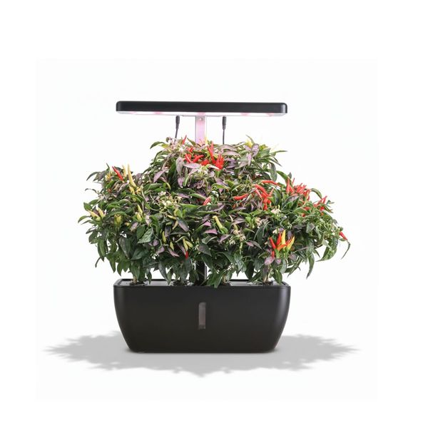 Smart Hydroponic 12 pod planter kit , led growing light, pump and Wifi Z206