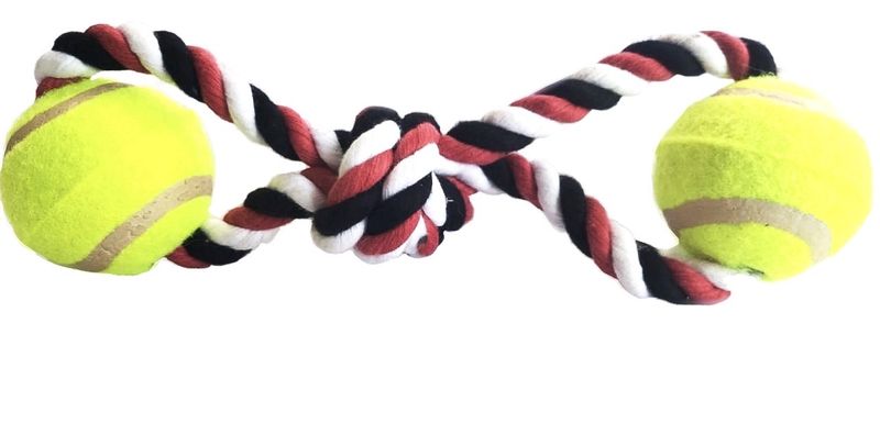Pet toy - Ball on a rope