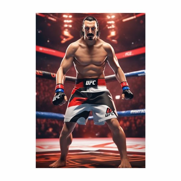 Zlatan Ibrahimovi UFC 2 - A1 Poster