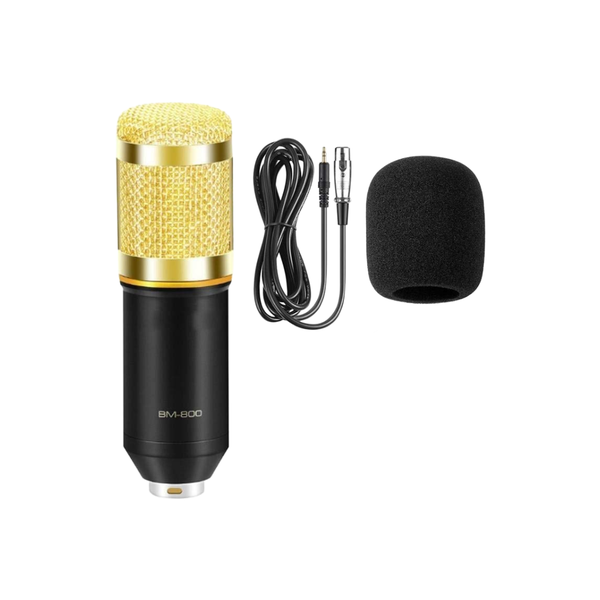 Broadcasting &amp; Recording Microphone Kit