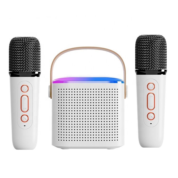 Mini Karaoke Machine Bluetooth Portable Speaker with 2 Wireless ...