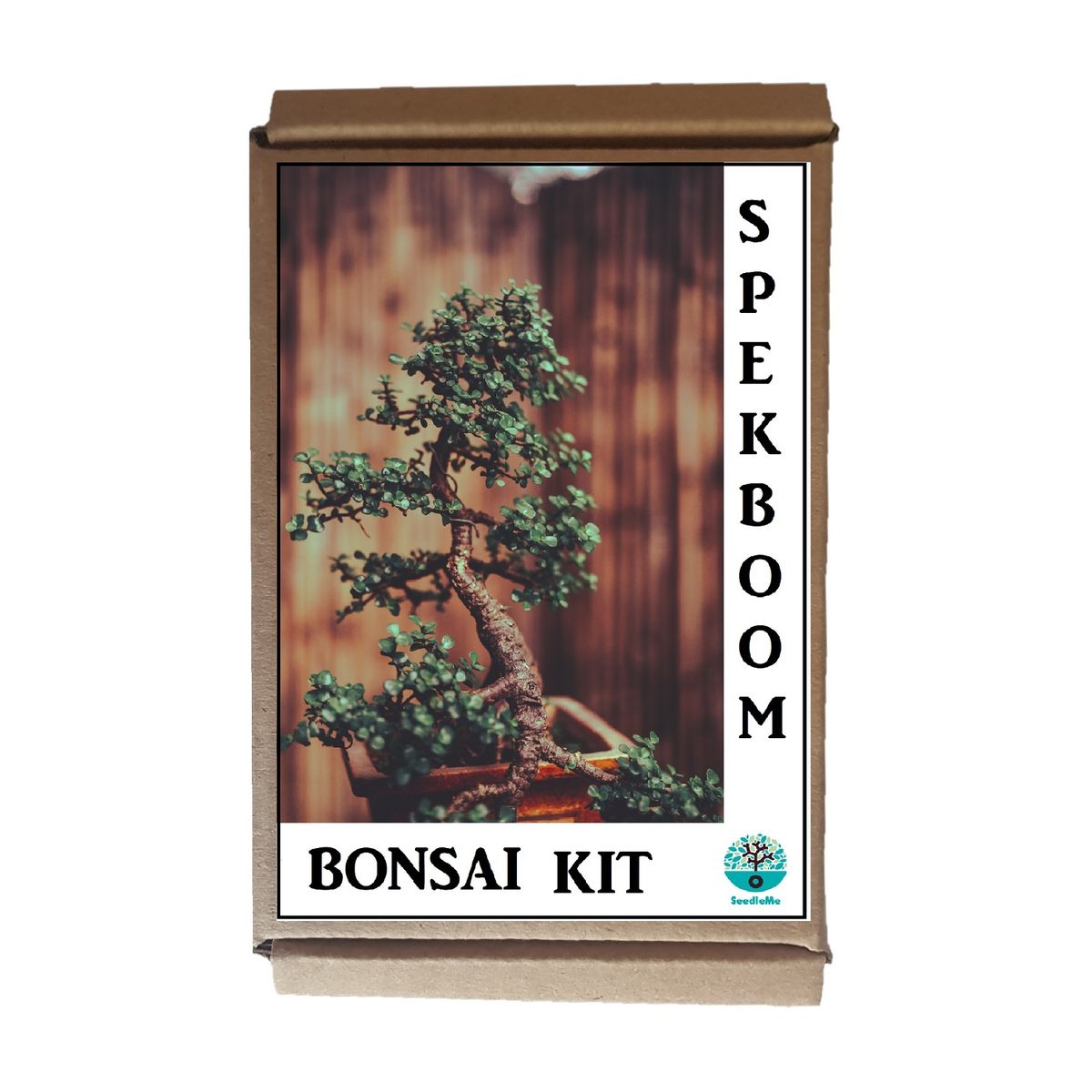 Carbon Plant Spekboom Bonsai Grow Kit Easy Growing Bonsai Buy Online