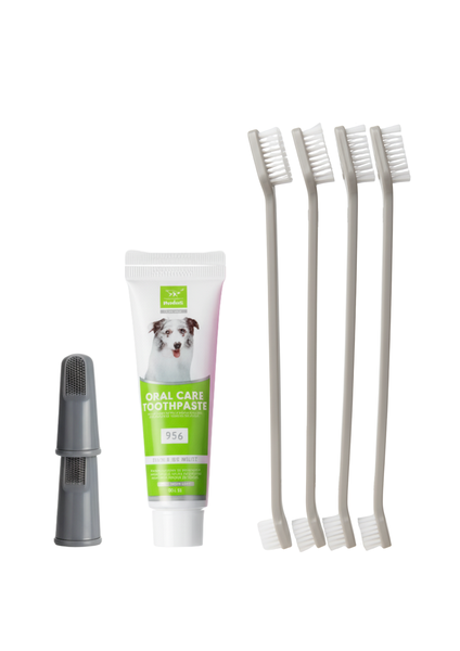 4Pcs Dual End Pet Toothbrush Dental Kit Toothpaste &amp; Finger Brush 4 Colors