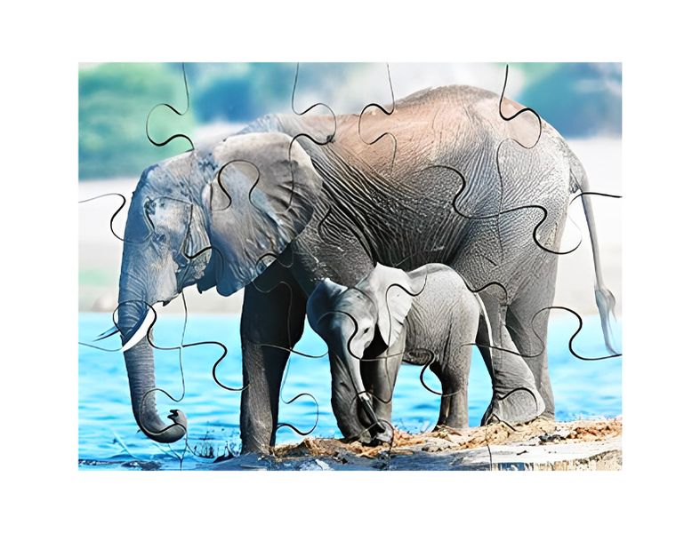 Interlocking Puz- Wild Animals &amp; Their Y