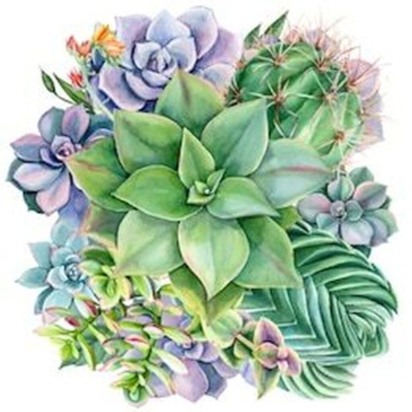 Diamond Painting Purple Succulents