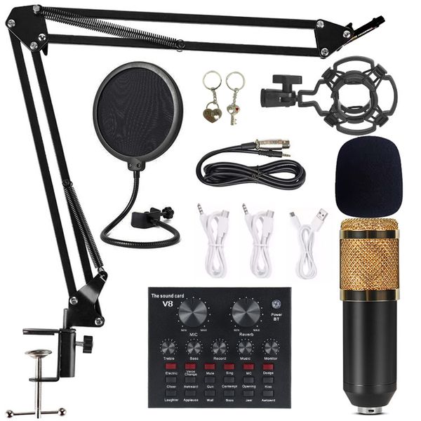 Professional condenser microphone set with V8s live sound card