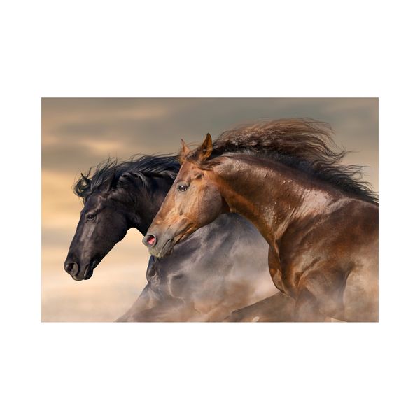 Brown, Black Cotton Canvas cm Animals Wall Art