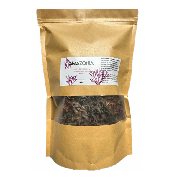 Amazonia Raw Organic Sea Moss 500g Bulk Pack | Wildcrafted, Full Spectrum