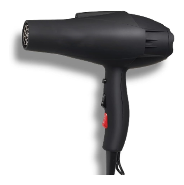 X6 Professional Blow Dryer 2200W