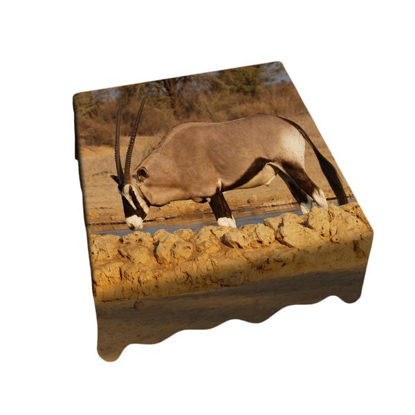 Thumbnail product image - 0