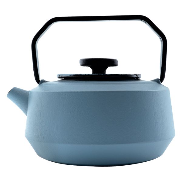 Regent Blue Cast Iron Nambu Tekki Japanese Style Teapot - 900ml