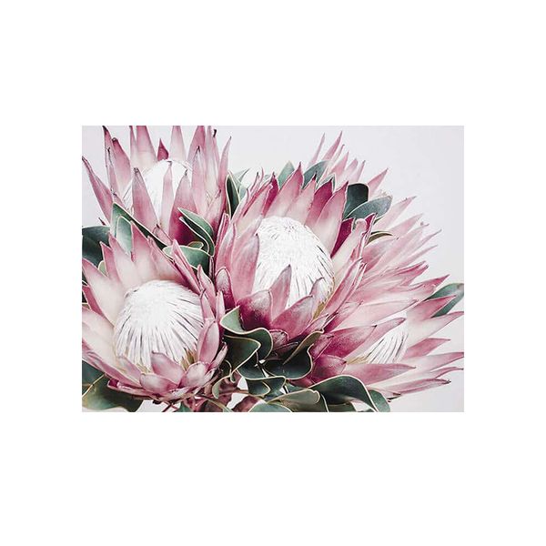 Diamond Painting DIY Kit,Full Drill, 40x30cm- Beautiful Proteas