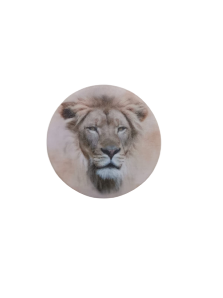 PopSockets Phone Grip/ pop grip /lion/ pop socket