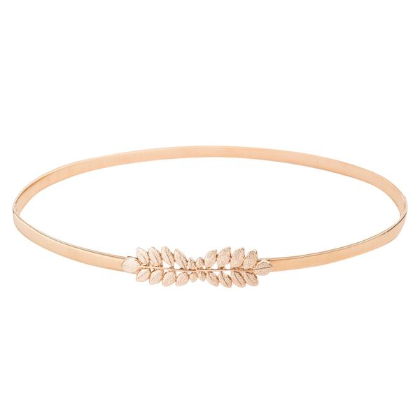 Women Skinny Metal Cinch Belt Gold Waistband Elastic Waist Belt