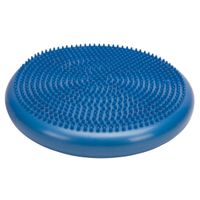 Inflated Stability Wobble Cushion with Pump Shop Today. Get it Tomorrow takealot