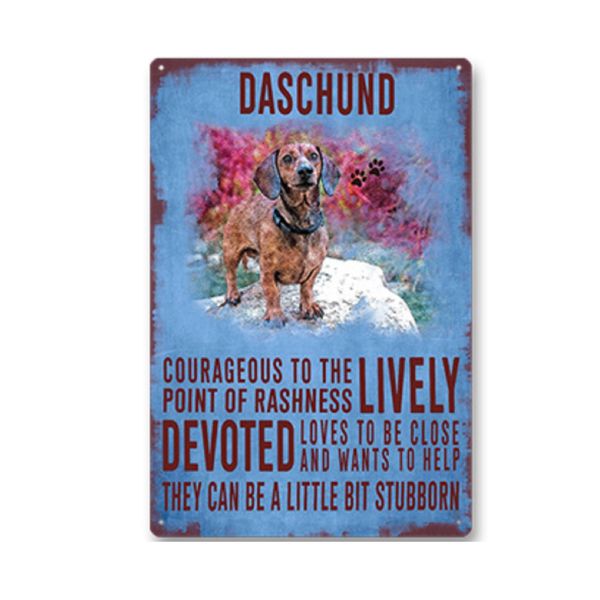 Decor Pet Metal Tin Signs Wall Picture Daschund 30cm