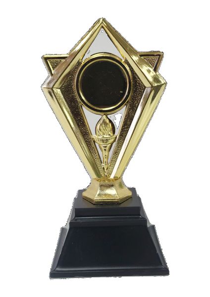 Pack of 10 Gold Trophies: Soccer N1