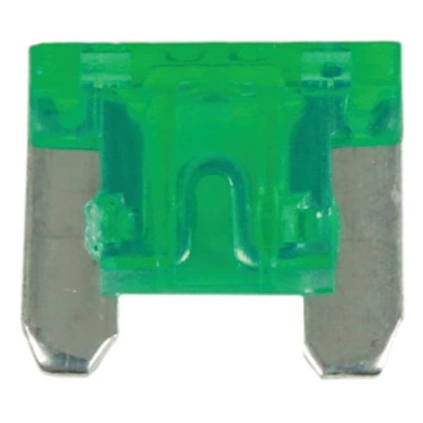 Automotive Plug-In Fuses - 30 Amp (Pack of 100)
