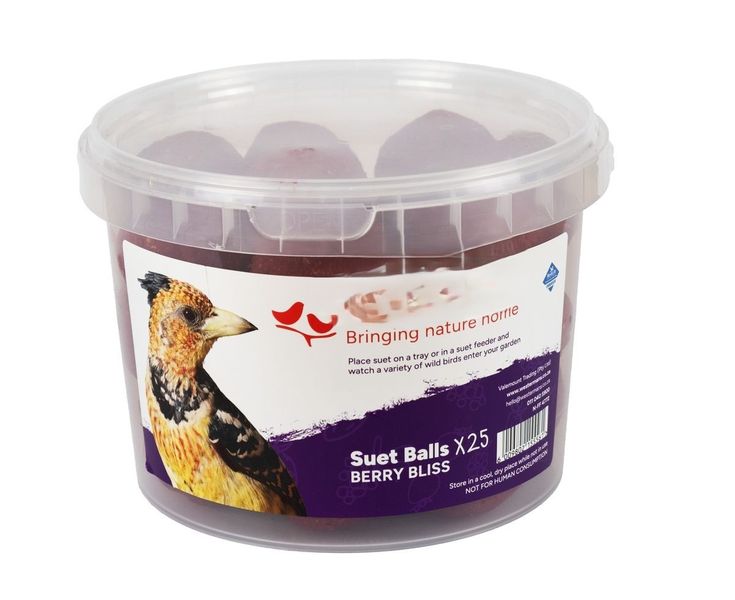 25 x Suet Ball Value Tub- Worms &amp; Bugs Flavour