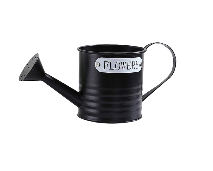 Watering Can with Long Spout Sprinkler