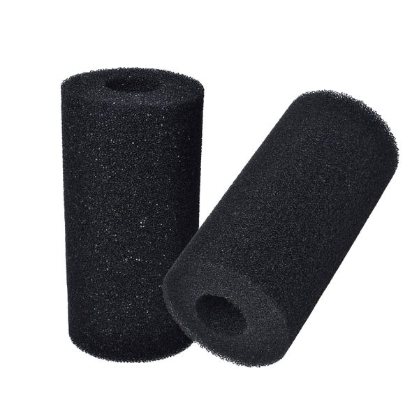 2 Pack Filter Sponge for Type A Reusable Swimming