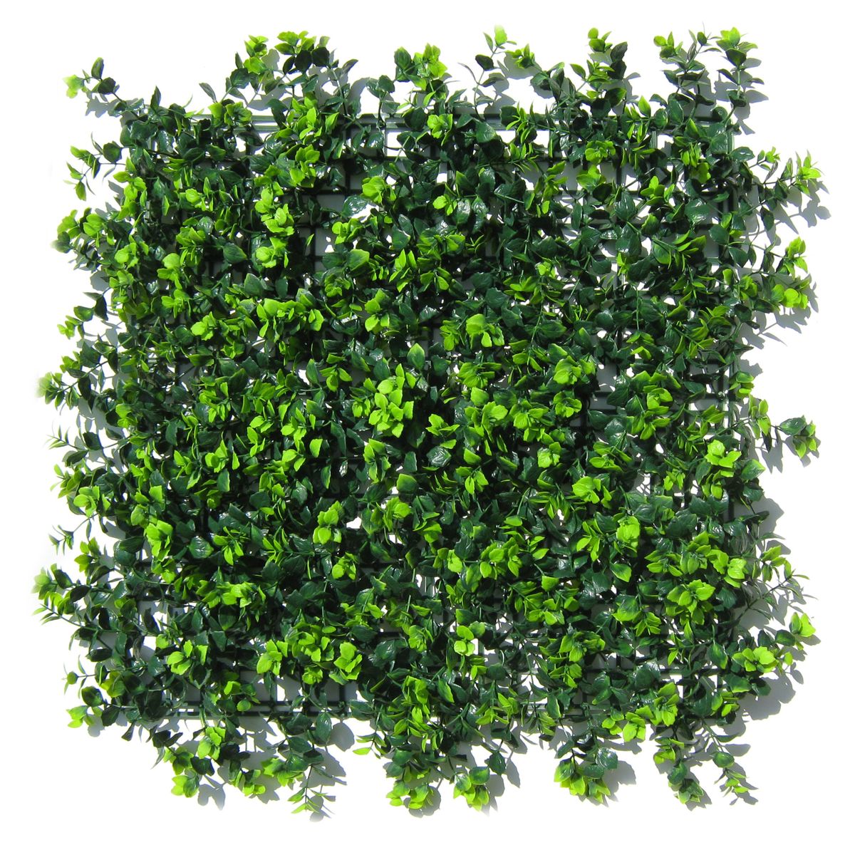 Klingshield Artificial Ivy Green Wall Panels - Evergreen - 1m2 | Shop ...