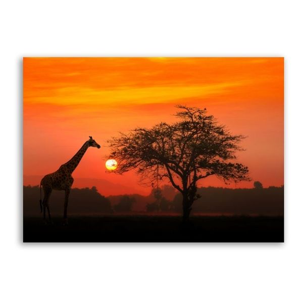 Giraffe Sunset Canvas Animals Wall Art