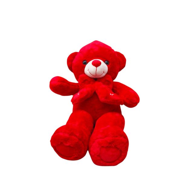 Soft Giant Teddy Bear With A Bow-60cm
