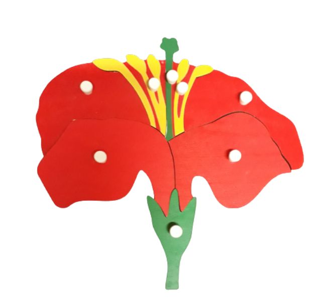 The Parts of a Flower - Wooden Puzzle