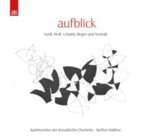 Aufblick: Verdi, Wolf, Urbaitis, Reger Und Nystedt (CD / Album)