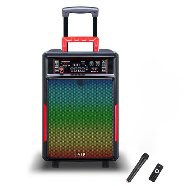 15Inch Portable Trolley speaker/microphone/ RGB lights JT-1528