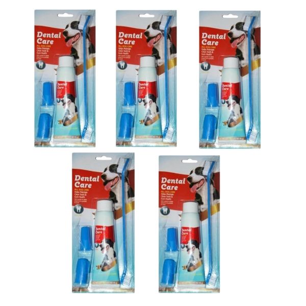 5 Pack Dental Care kit