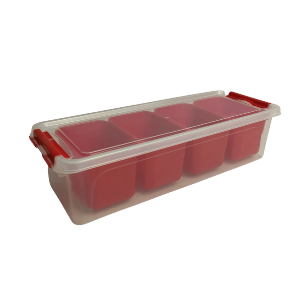 Qlux Ideas Divided Storage Box with Clip Lids- 3.5LT