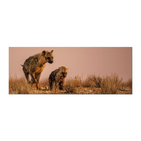 Heyena female plying with cub Large Desk Pad By Fanie Heymans